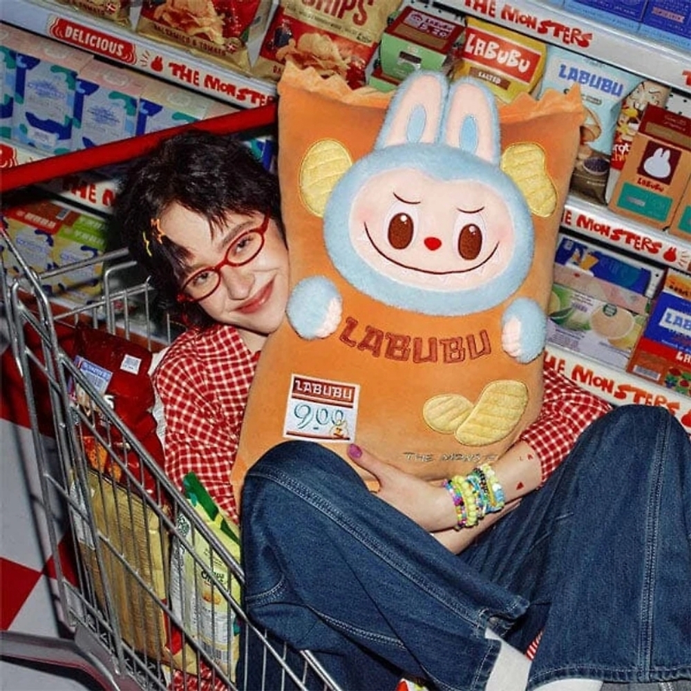 Labubu Chip Pillow From Wacky Mart Series